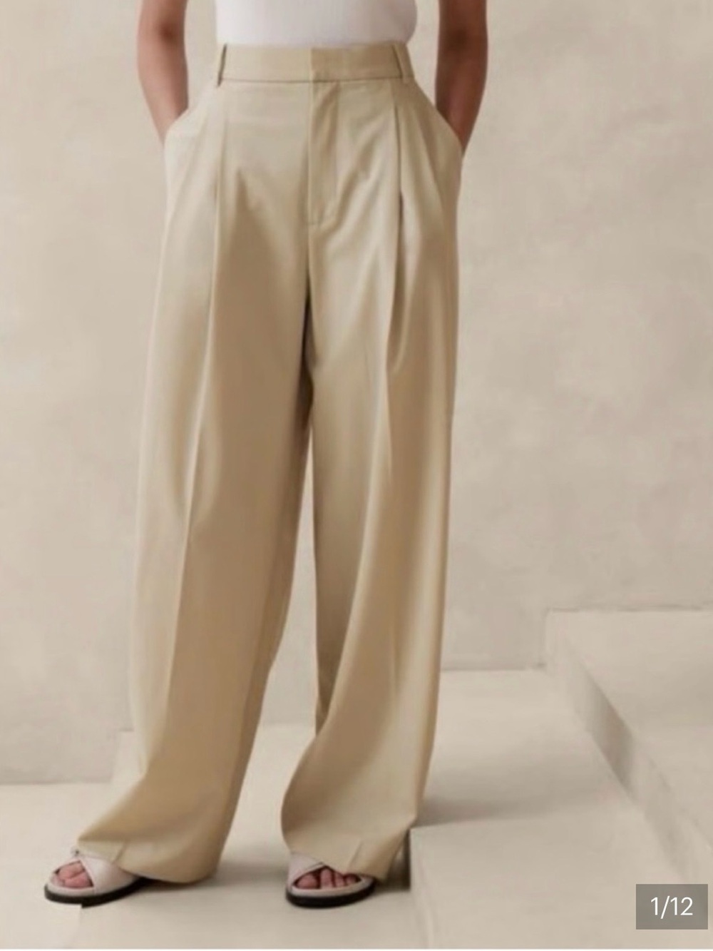 Banana Republic Wool Wide Leg Pleated Trousers High Rise Pants 12 Office Work